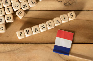 French Lessons Near Me Bingham